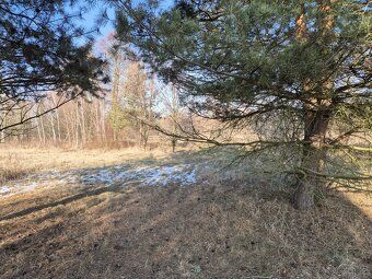 Wieś Franciszków-Komunikacja / położona obok A-2 - niedaleko