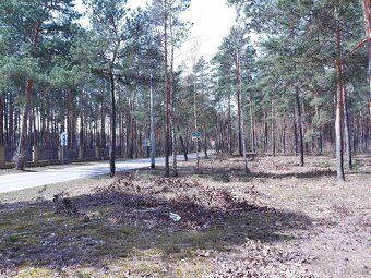 Atrakcyjną działkę budowlaną nr.81/43 notarialnie sprzedam.L