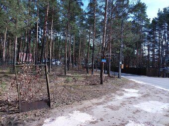 Atrakcyjną działkę budowlaną nr.81/43 notarialnie sprzedam.L