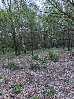 Sprzedam działkę budowlaną 30 arów, 34-114 Brzeźnica, Brzezi