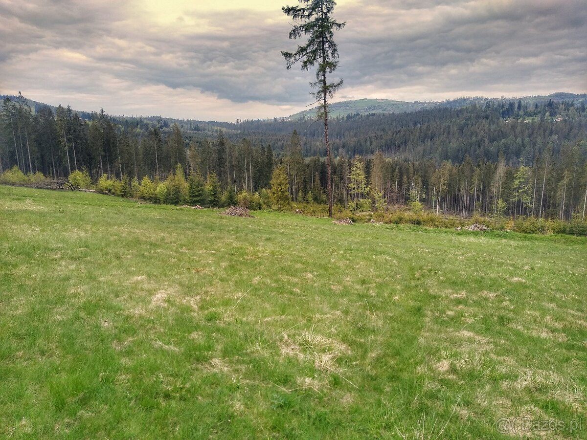 działka pod domki 7600 m2, woda, prąd, droga dojazdowa, dzia