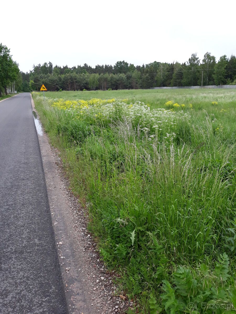 Sprzedam działkę inwestycyjną o powierzchni 17518 m2 w miejs