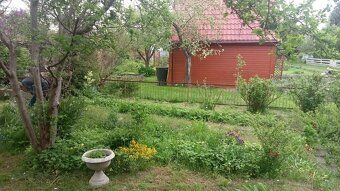 Witam .mam do sprzedaży działkę rekreacyjną z nasadzeniami .