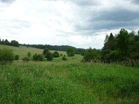 Atrakcyjna nieruchomość (rekreacyjno – rolna), obejmująca wi