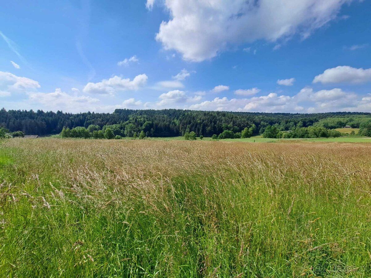 Do sprzedania oferujemy działkę w miejscowości CZERMNA gmina