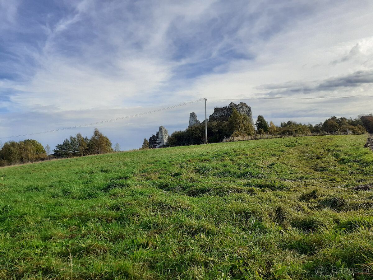JURA KRAKOWSKO - CZĘSTOCHOWSKA.Działka budowlano rolna 84a /