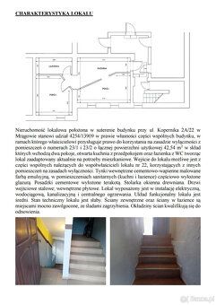 SYNDYK MASY UPADŁOŚCI osoby fizycznej nieprowadzących działa