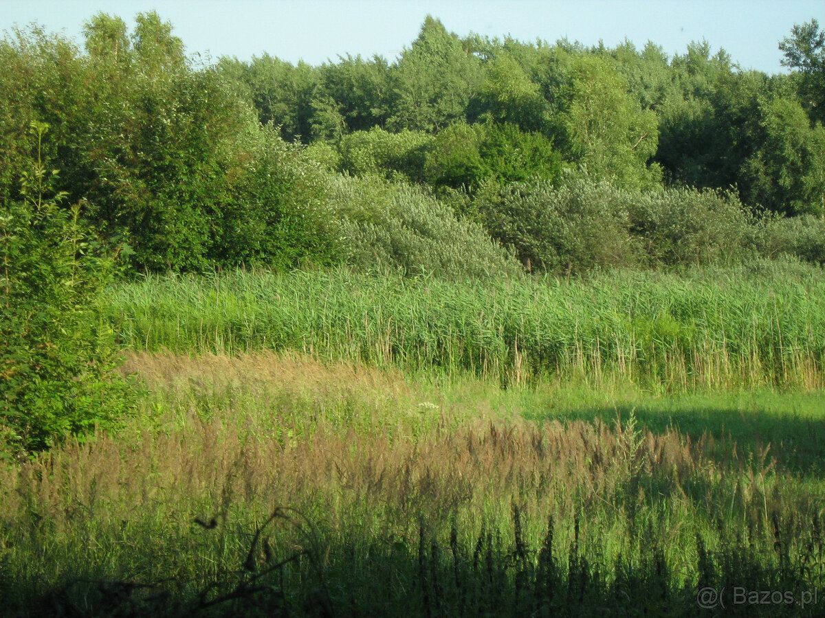 Sprzedamy działkę budowlano - rolną 16,82a na ul. Tynieckiej