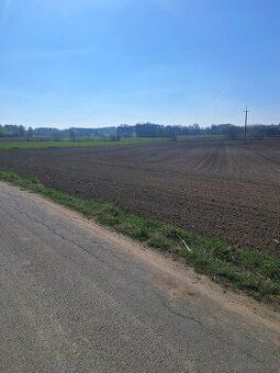 Przedmiotem sprzedaży jest działka o powierzchni 1000m², usy
