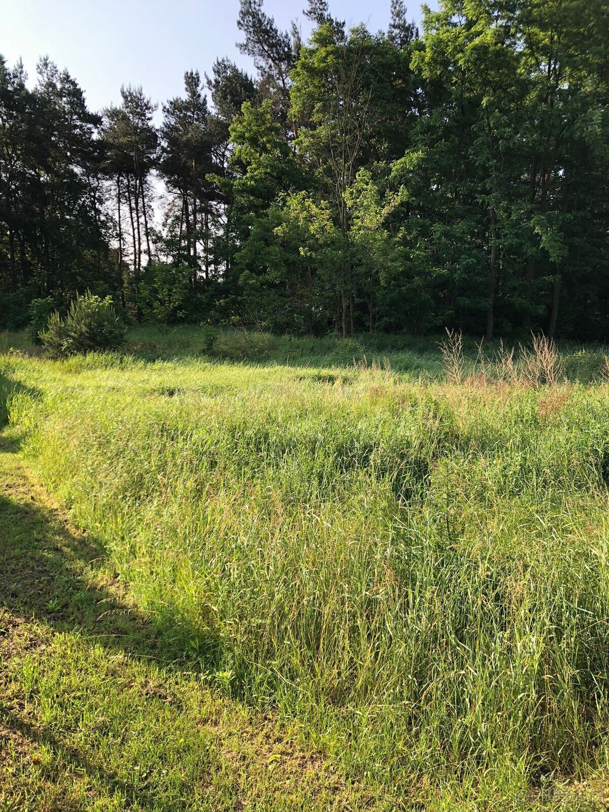 Przedmiotem sprzedaży jest działka o powierzchni 1000m², usy