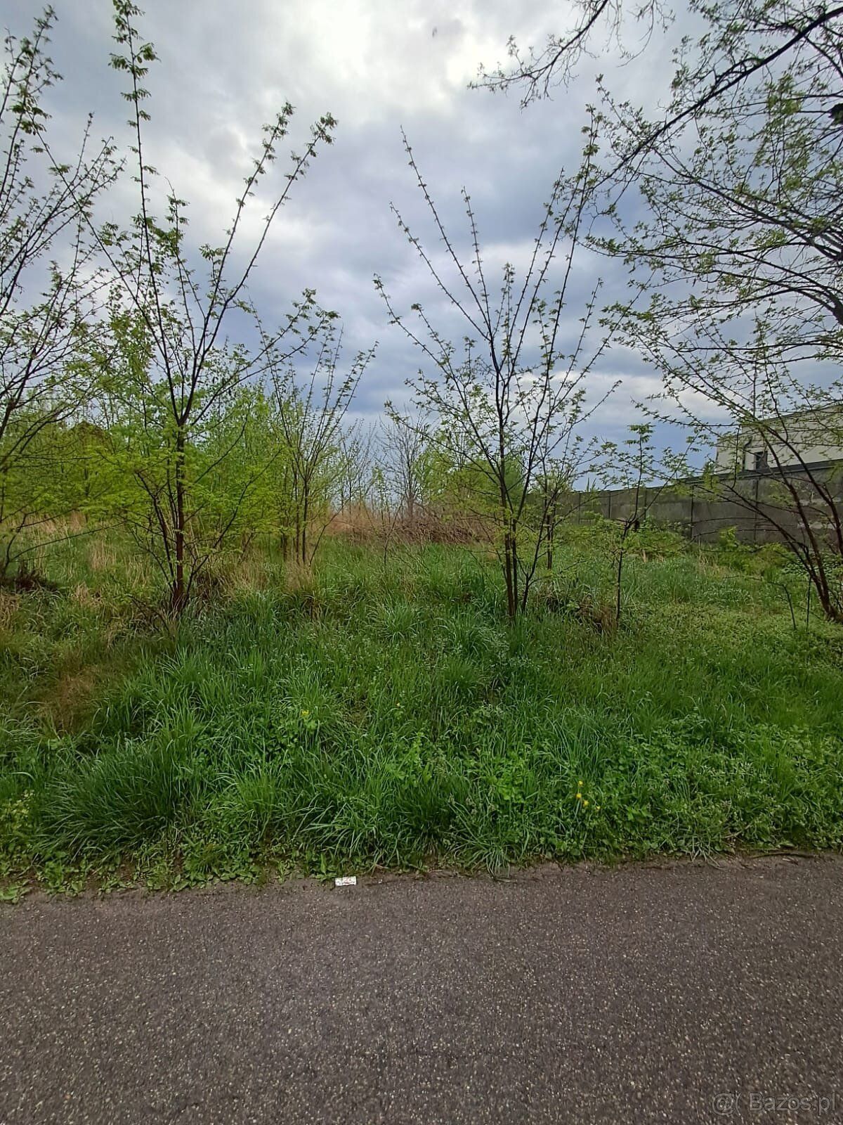 Prezentujemy na sprzedaż działkę rolną o powierzchni 1769 m²