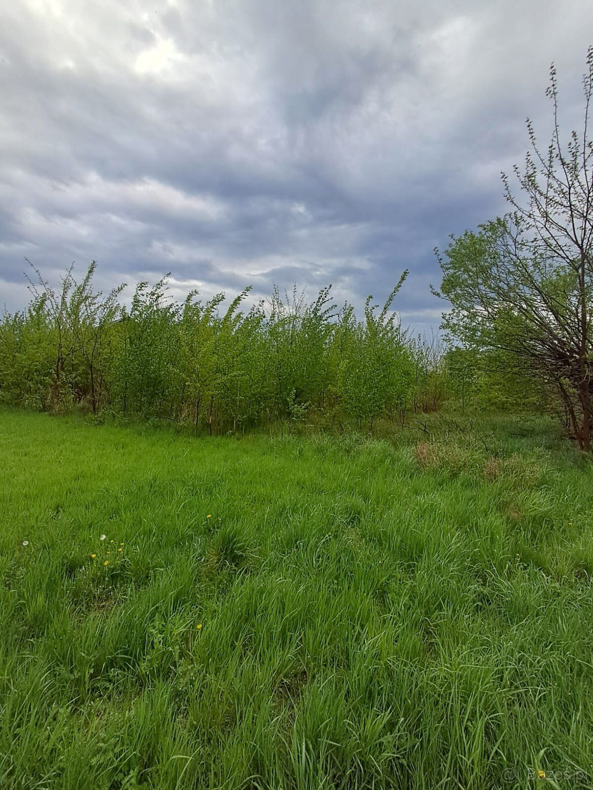 Prezentujemy na sprzedaż działkę rolną o powierzchni 1769 m²