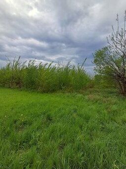 Prezentujemy na sprzedaż działkę rolną o powierzchni 1769 m²