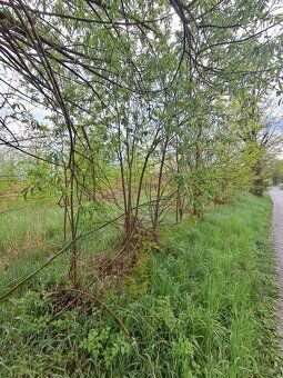 Prezentujemy na sprzedaż działkę rolną o powierzchni 1769 m²