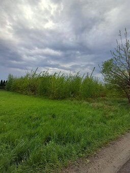 Prezentujemy na sprzedaż działkę rolną o powierzchni 1769 m²