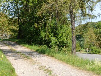 🏡 Na sprzedaż działka budowlana 19 ar – Janowice, gm. Pleśna