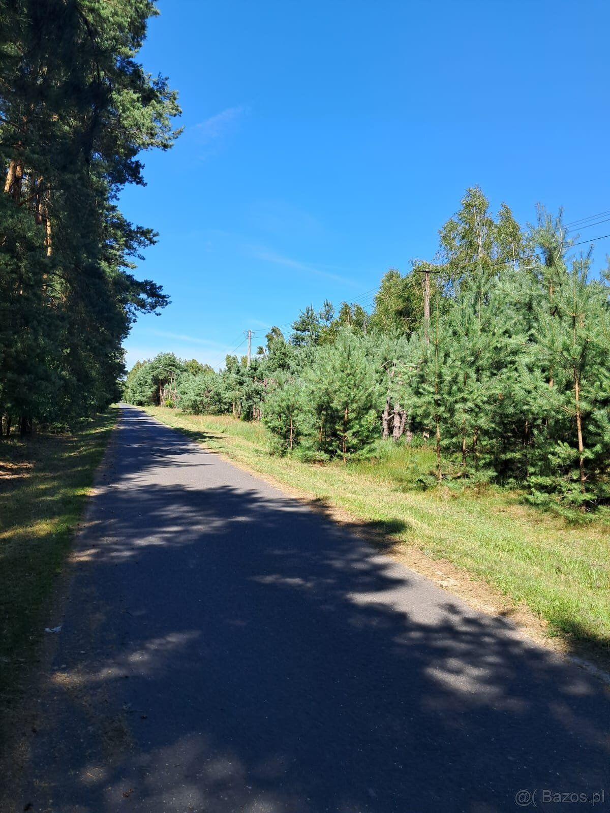 Zapraszamy do odkrycia naszego wyjątkowego miejsca w Prażuch