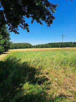 Oferujemy do sprzedaży w msc.Łazy gm. Rzezawa działkę budowl