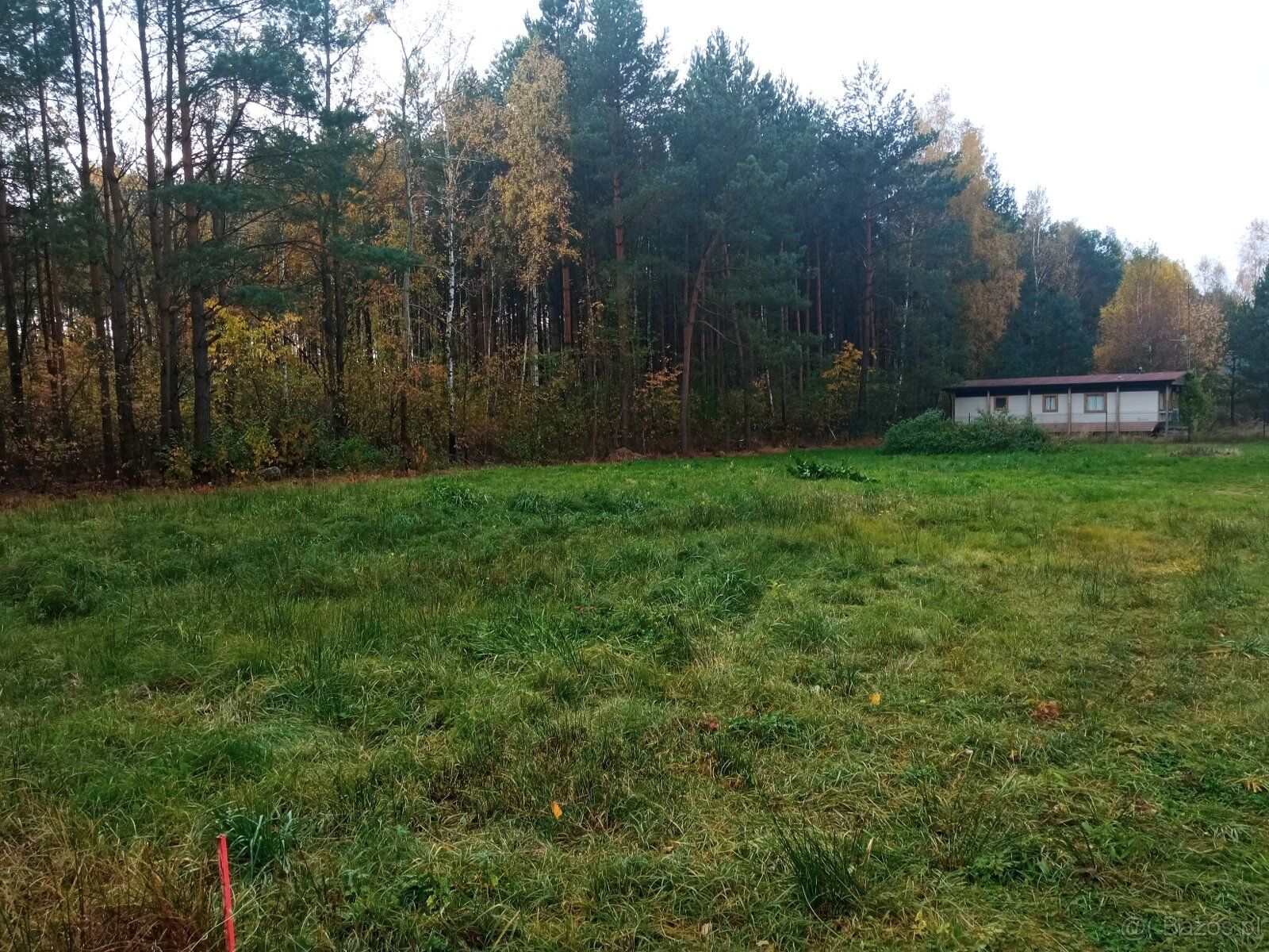 Sprzedam bezpośrednio działkę rekreacyjną nie zabudowaną we 