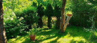 I will give up an allotment in ROD POLANKA Wrocław at ul