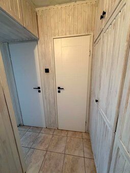I am renting out a spacious and functional apartment with