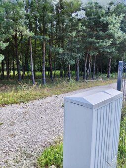 Unique construction plots in the heart of forest – an oasis