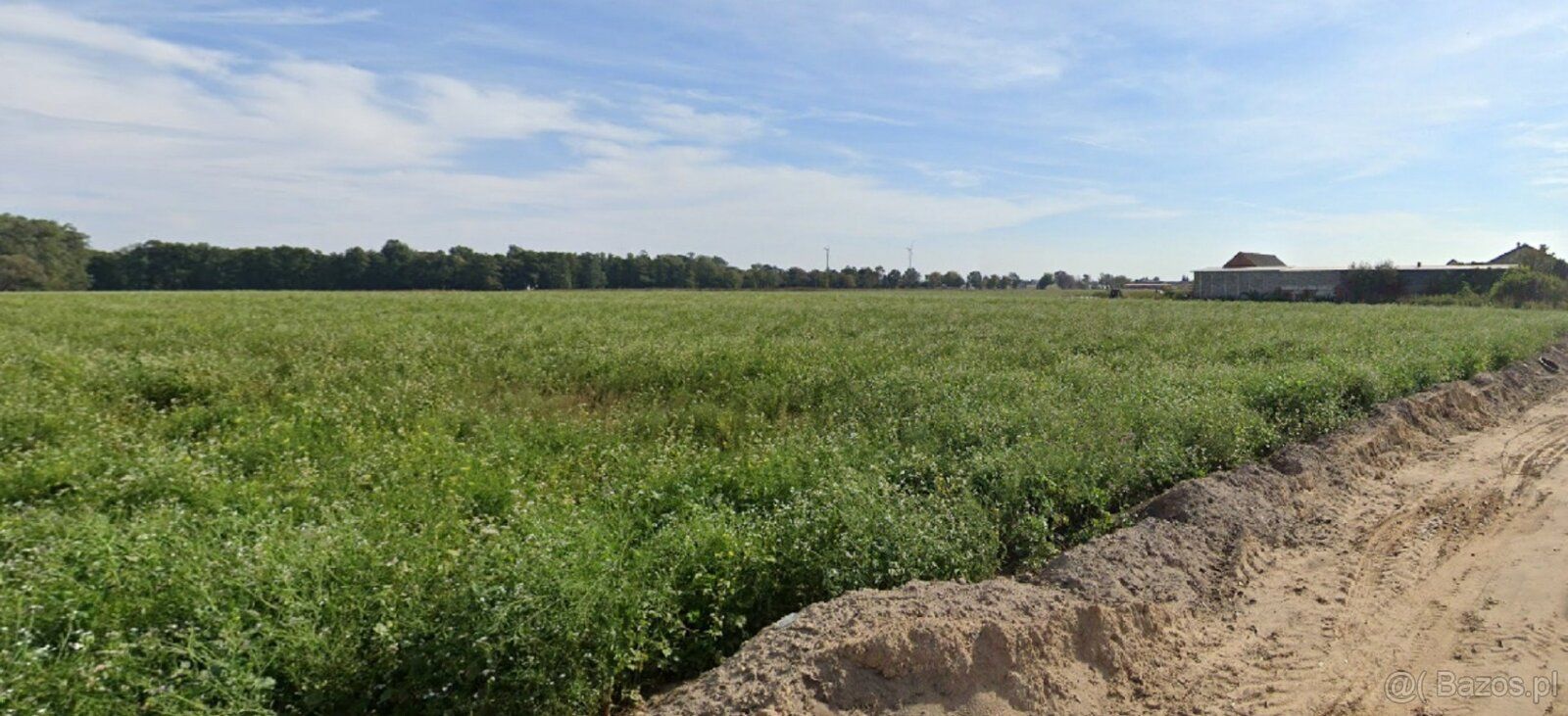 For sale attractive plots for construction with an area