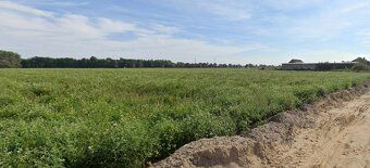 For sale attractive plots for construction with an area