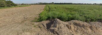 For sale attractive plots for construction with an area