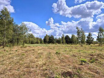I am selling a single-story house with a plot of land
