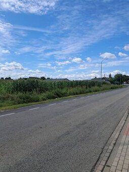 For sale an attractive agricultural-investment plot with an