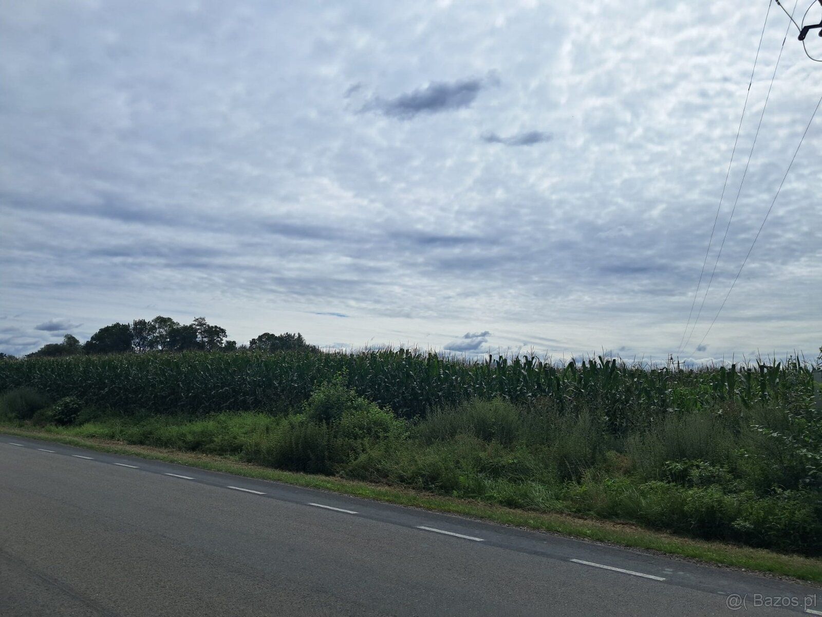 For sale an attractive agricultural-investment plot with an