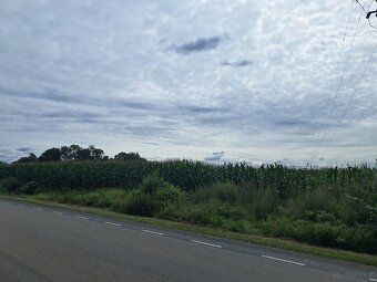 For sale an attractive agricultural-investment plot with an
