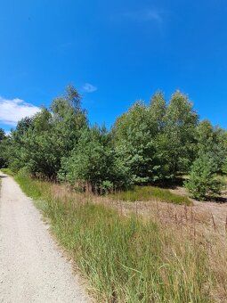 We invite you to discover our unique location in Nowe