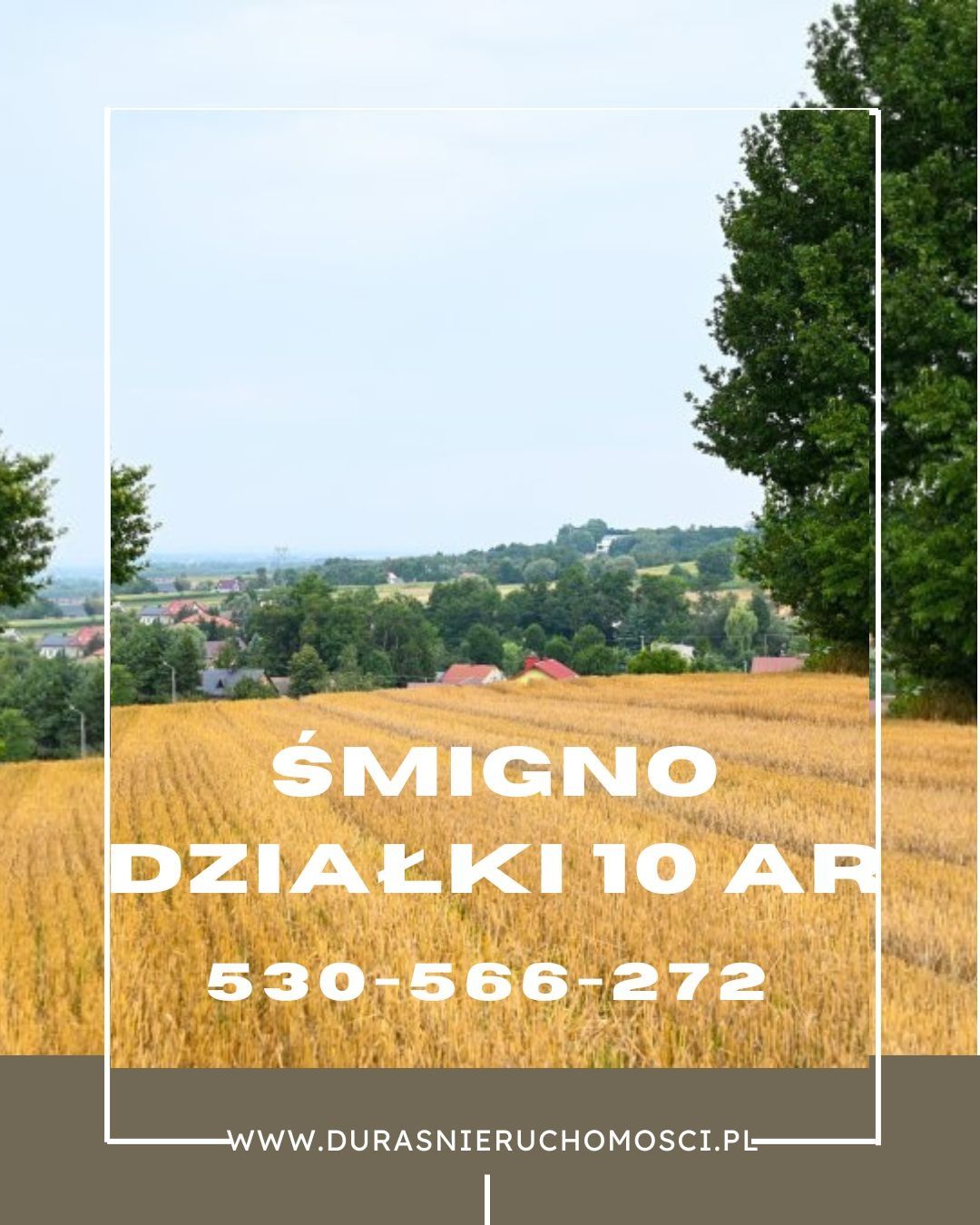 The subject of the sale are 4 plots located in Smigno