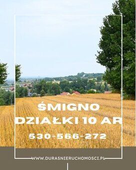 The subject of the sale are 4 plots located in Smigno