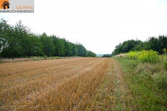 The subject of the sale are 4 plots located in Smigno
