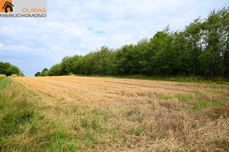The subject of the sale are 4 plots located in Smigno