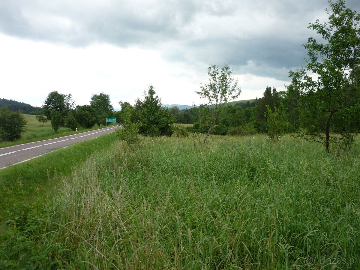 Attractive property (recreational agricultural)