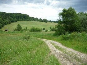 Attractive property (recreational agricultural)