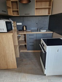 Ponúkam na prenájom 1izbový byt na ulici Krivianska, Lipany.