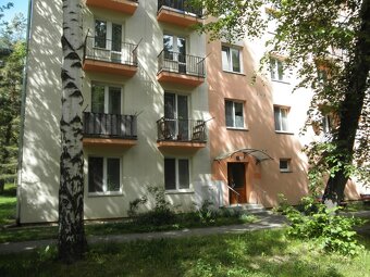 Ponúkam do prenájmu 1 izbový byt na 2. poschodí, 33 m2 v Pop