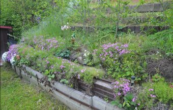 🌿 Záhrada s chatkou na predaj – Veľký Bysterec, Dolný Kubín 