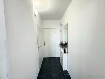 Ponúkam na prenájom slnečný 1-izbový byt o výmere 40 m² v ti