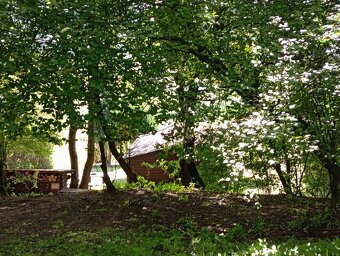Potrebujete , súkromie, upravený pozemok, okrasné dreviny, k