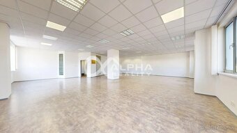 Alphareality.sk ponúka na prenájom polyfunkčný priestor, Rad