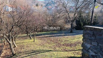 Realitná kancelária HALO reality a Bohuslava Záborská, konta