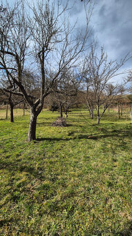 Ponúkam na predaj záhradu o rozlohe 1593m2, v obci Širkovce 