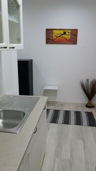 Ponúkam na prenájom jednoizbový byt s balkónom na ulici Javo