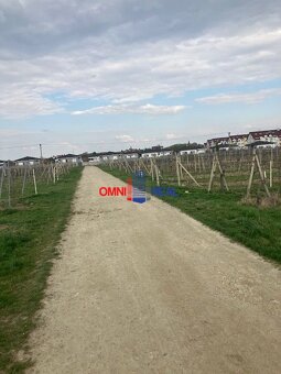 Ponúkame na predaj pozemok s výmerou 4085 m2 v lokalite Gref